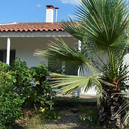 Litochoro Apartment In Estate A1 外观 照片