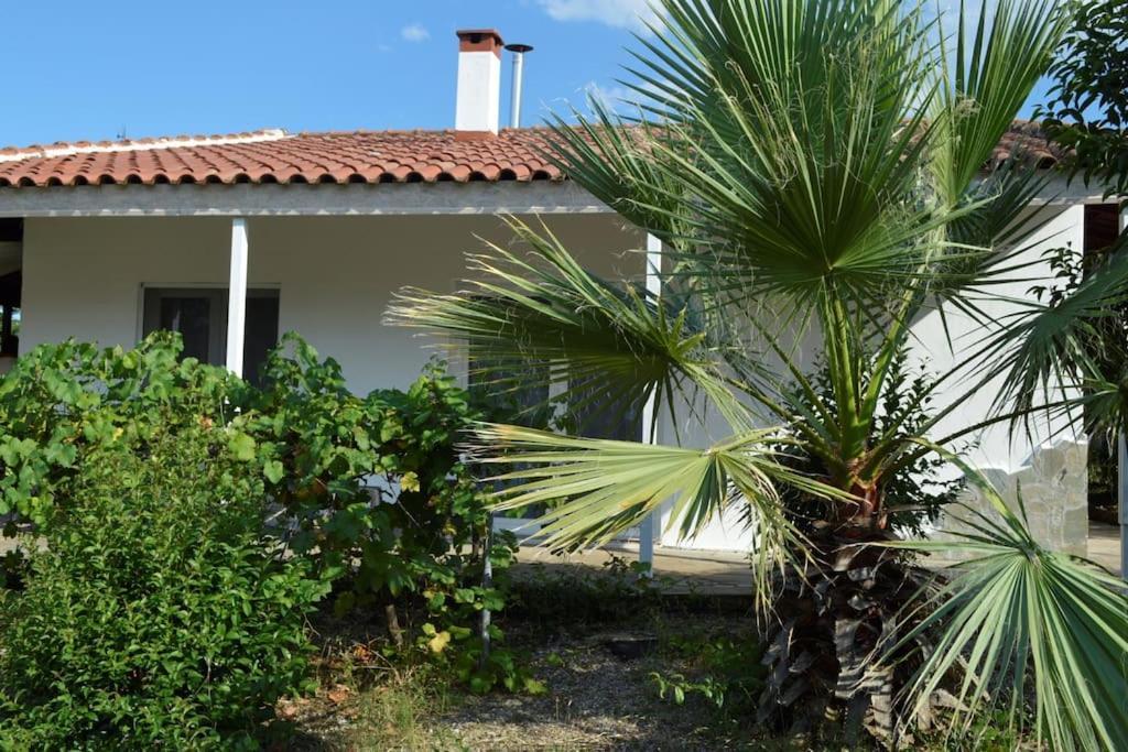 Litochoro Apartment In Estate A1 外观 照片