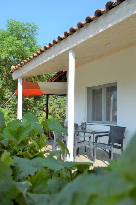 Litochoro Apartment In Estate A1 外观 照片